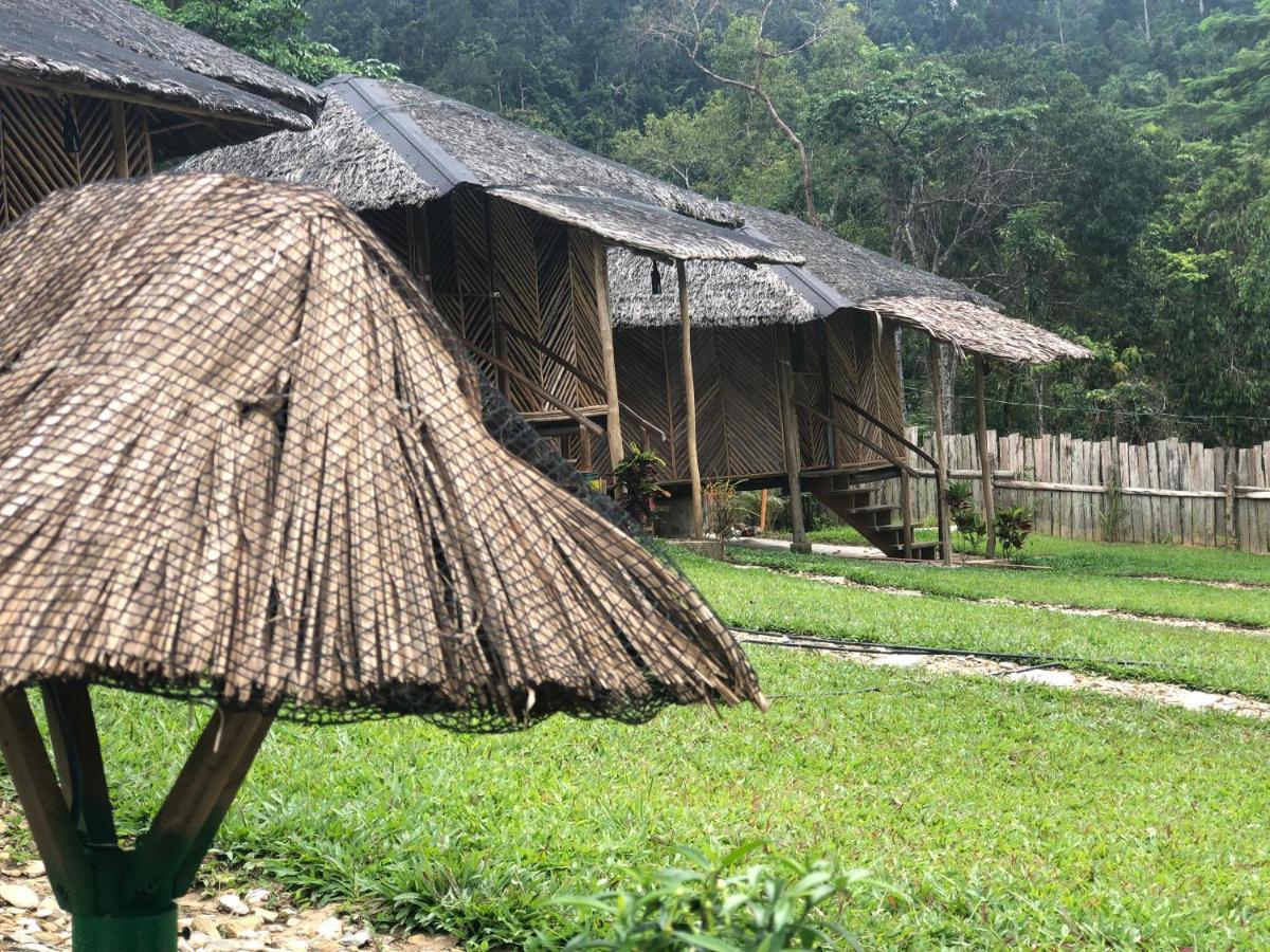Backpacker'S Hill Resort سان فيسنتي المظهر الخارجي الصورة